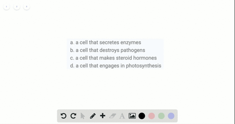 which-of-the-following-is-most-likely-to-have-the-greatest-concentration-of-smooth-endoplasmic-retic
