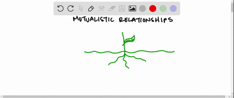 why-is-the-relationship-between-most-mycorrhizal-fungi-and-their-host-plants-considered-mutualistic-