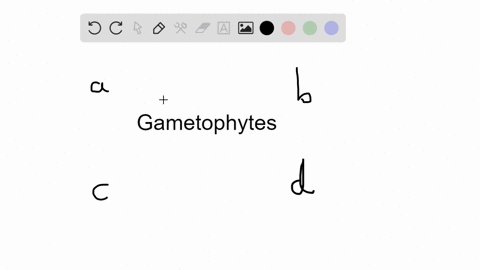 in-plants-the-structures-that-produce-male-gametophytes-are-called-___-those-that-produce-female-gam