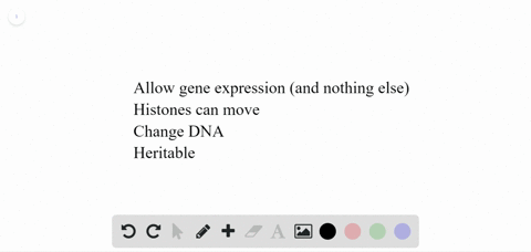 which-of-the-following-is-true-of-epigenetic-changes-a-they-only-allow-gene-expression-b-they-allow-