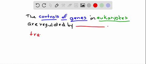 eukaryotic-gene-controls-govern-__________-a-transcription-b-rna-processing-c-rna-transport-d-mrna-d