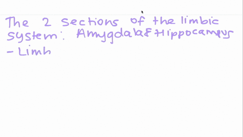 the-limbic-system-sits-between-the-brains-older-parts-and-the-cerebral-hemispheres-two-parts-of-the-