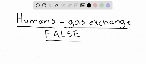 which-statement-about-the-human-gas-exchange-system-is-not-true-a-during-inhalation-a-negative-press