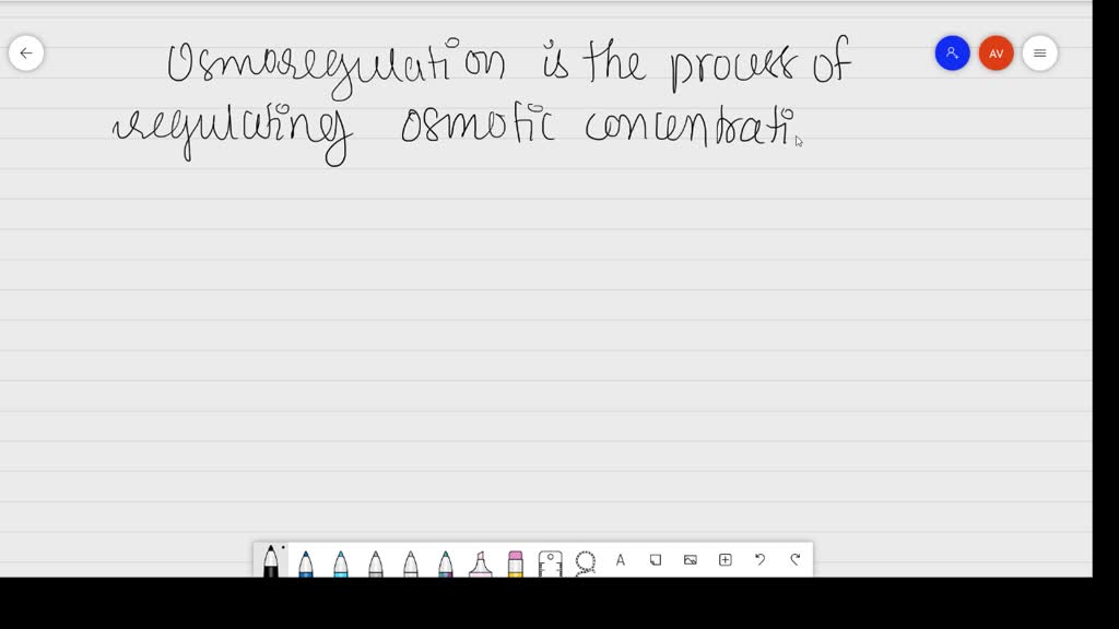 solved-define-the-term-fluvial-what-is-a-fluvial-process