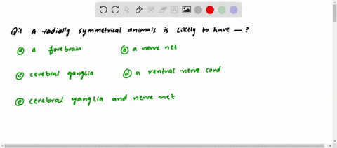 a-radially-symmetrical-animal-is-likely-to-have-a-a-forebrain-b-a-nerve-net-c-cerebral-ganglia-d-a-v