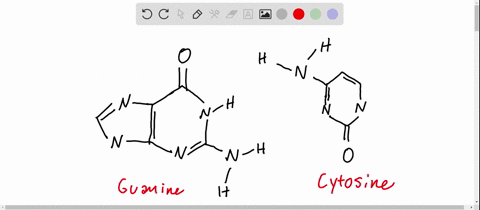 in-dna-how-many-hydrogen-bonds-form-between-guanine-and-cytosine-173
