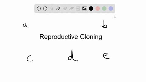 _____-is-an-example-of-reproductive-cloning-a-somatic-cell-nuclear-transfer-scnt-b-multiple-offspr-2