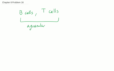 match-each-description-with-a-white-blood-cell-in-the-key-a-lymphocytes-d-monocytes-b-neutrophils--2