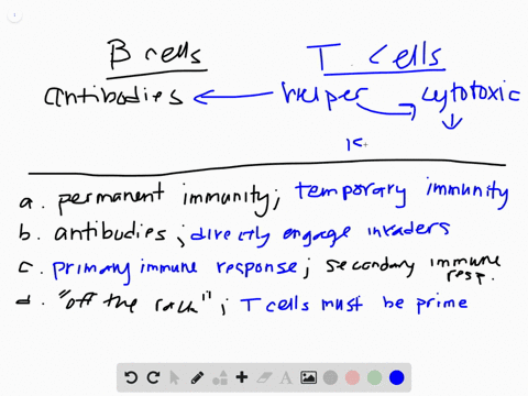 which-of-the-following-best-describes-the-difference-in-the-way-b-cells-and-t-cells-deal-with-invade