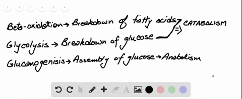 what-is-beta-oxidation-a-the-main-process-used-to-break-down-glucose-b-the-main-process-used-to-asse