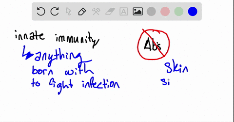 innate-immunity-includes-all-of-the-following-except________-a-the-skin-and-mucous-membranes-b-phago