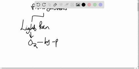 a-crucial-prereq-human-beings-do-not-produce-energy-by-photosynthesis-yet-this-process-is-critical-t