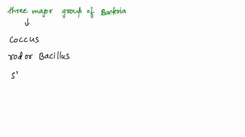 name-and-describe-three-major-groups-of-bacteria-3