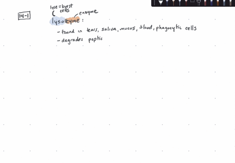 lysozyme-does-which-of-the-following-a-disrupts-cell-membranes-b-hydrolyzes-peptidoglycan-c-waterpro