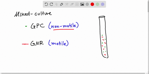 a-microbiology-instructor-prepares-cultures-for-a-gram-staining-practical-laboratory-by-inoculating
