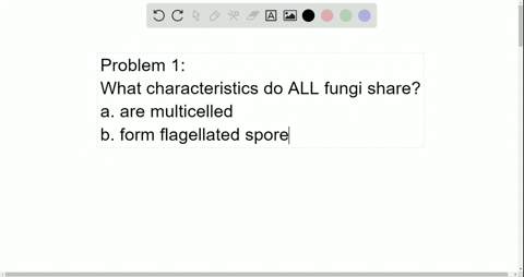 all-fungi-______-a-are-multicelled-b-form-flagellated-spores-c-are-heterotrophs-d-all-of-the-above