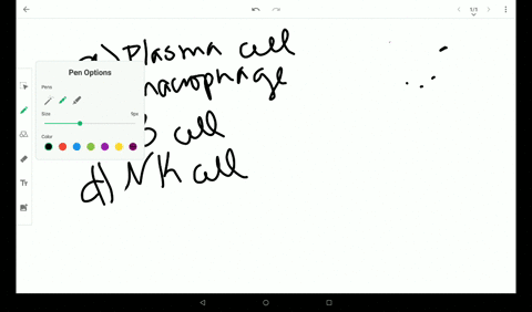 which-of-the-following-cells-is-phagocytic-a-plasma-cell-b-macrophage-c-b-cell-d-nk-cell