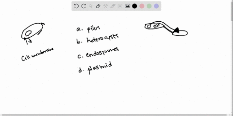 some-gram-positive-bacteria-eg-bacillus-anthracis-survive-harsh-conditions-by-forming-an-_________-2