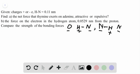 the-two-sides-of-the-dna-double-helix-are-connected-by-pairs-of-bases-adenine-thymine-cytosine-and-g
