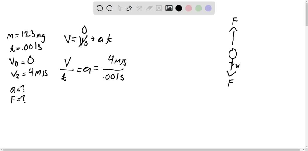 Insect Dynamics. The froghoper (Philaenus spumarius), the champion