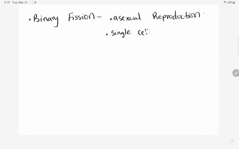 describe-how-most-prokaryotes-reproduce