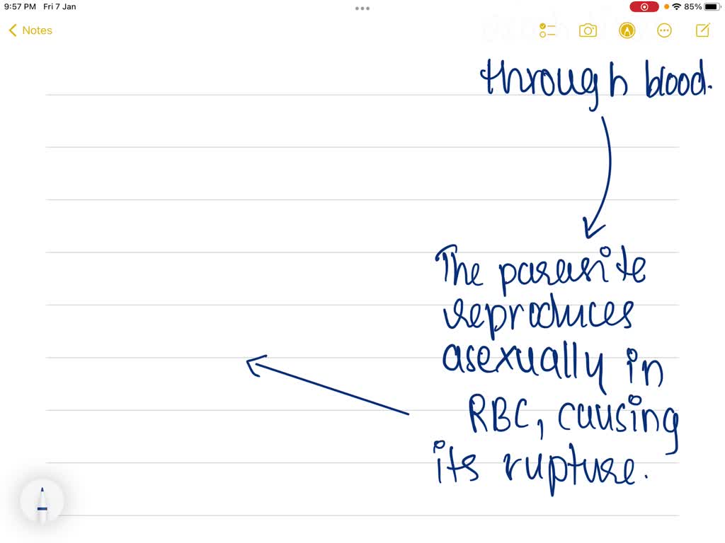 solved-the-definitive-host-of-a-parasite-is-the-host-a-in-which-asexual-reproduction-occurs-b