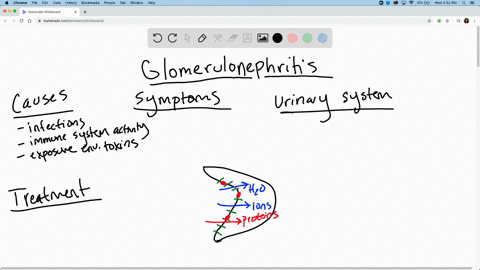 use-the-internet-to-find-a-list-of-diseases-of-the-kidneys-or-other-organs-of-the-urinary-system-sel
