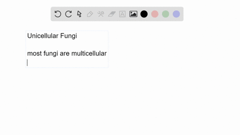 unicellular-fungi-are-called-______________