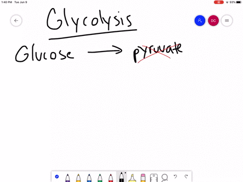 which-molecule-does-not-form-during-glycolysis-a-nadh-b-pyruvate-c-oxygen-leftmathrmo_2right-d-atp