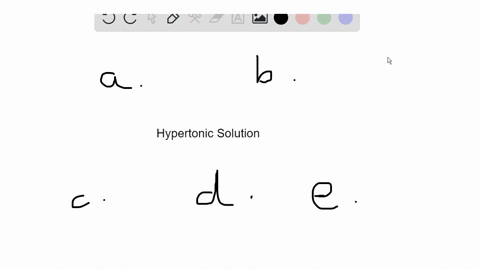 what-would-occur-if-a-plant-cell-were-placed-into-a-strong-hypertonic-solution-a-nothing-would-happe