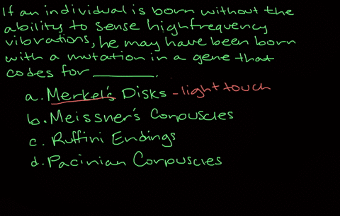 if-an-individual-is-born-without-the-ability-to-sense-highfrequency-vibrations-he-may-have-been-born