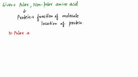 which-of-the-following-amino-acids-is-most-likely-to-be-found-on-the-outside-of-a-soluble-protein-an