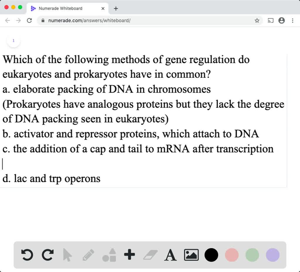 solved-which-of-the-following-methods-of-gene-regulation-do-eukaryotes