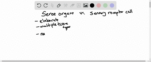 distinguish-between-a-sense-organ-and-a-sensory-receptor
