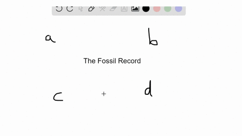 why-does-the-presence-of-extinct-forms-and-transitional-features-in-the-fossil-record-support-the--2