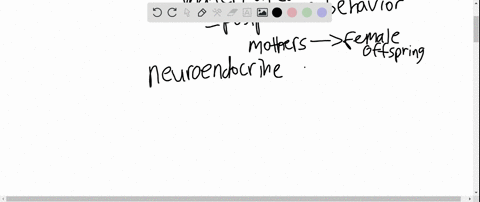 a-scientist-does-an-experiment-in-which-she-removes-the-offspring-of-rats-from-their-mother-at-birth