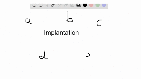 implantation-occurs-in-what-structure-of-the-female-reproductive-system-a-uterine-tubes-b-uterus-c-2