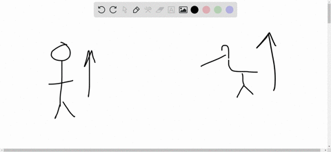 identify-what-is-wrong-storks-and-babies-in-the-years-following-the-end-of-world-war-ii-it-was-found
