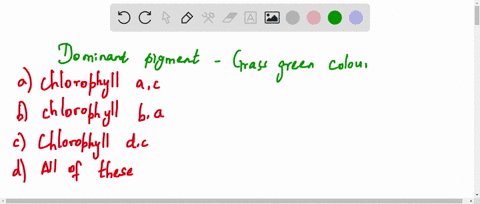 SOLVED:Chlorophyceae Are Grass Green Due To The Dominance Of Pigment (a ...