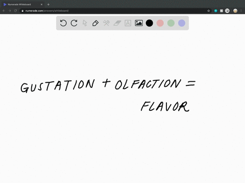 as-mentioned-earlier-a-foods-flavor-represents-an-interaction-of-both-gustatory-and-olfactory-inform