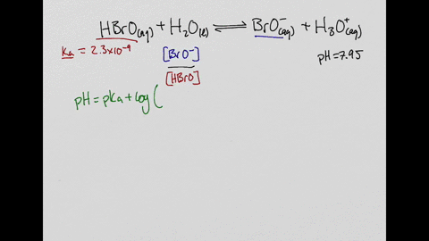 What is the component concentration ratio, $\left[\mathrm{BrO}^{-}\right] /[\mathrm{HBrO}]$ of a buffer that has a pH of 7.95$\left(K_{\mathrm{a}} \text { of } \mathrm{HBrO}=2.3 \times 10^{-9}\right) ?$