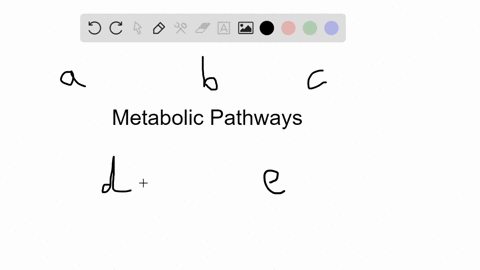 which-of-the-following-statements-is-not-correct-a-metabolic-pathway-_____-a-is-a-sequence-of-enzyme