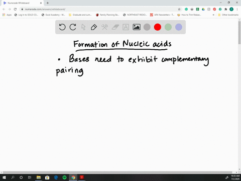 which-of-the-following-rules-apply-to-the-synthesis-of-nucleic-acids-a-nucleotides-are-added-to-the-