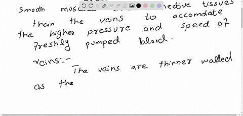 describe-the-structure-of-arteries-and-veins-explaining-their-similarities-and-differences-why-do-ar