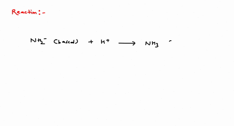 the-conjugate-acid-of-mathrmnh_2-is-a-mathrmnh_4-b-mathrmnh_3-c-mathrmnh_2-mathrmoh-d-mathrmn_2-math