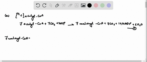 pathway-of-carbon-in-fatty-acid-synthesis-using-your-knowledge-of-fatty-acid-biosynthesis-provide-an