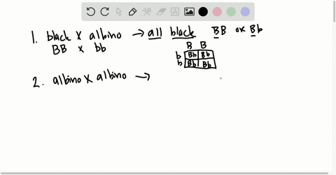 in-guinea-pigs-black-body-color-b-is-completely-dominant-over-albino-b-for-the-crosses-below-give-th