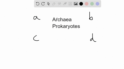 archaea-a-have-a-cell-wall-composed-of-peptidoglycan-b-are-more-closely-related-to-eukaryotes-than-t