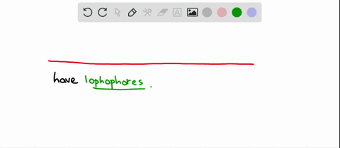 members-of-which-phyla-have-lophophores-a-phoronida-brachiopoda-and-nemertea-b-phoronida-brachiopoda