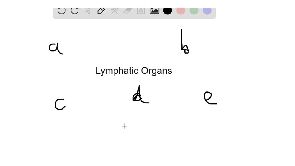 SOLVED:Match each numbered item with the most closely related lettered ...